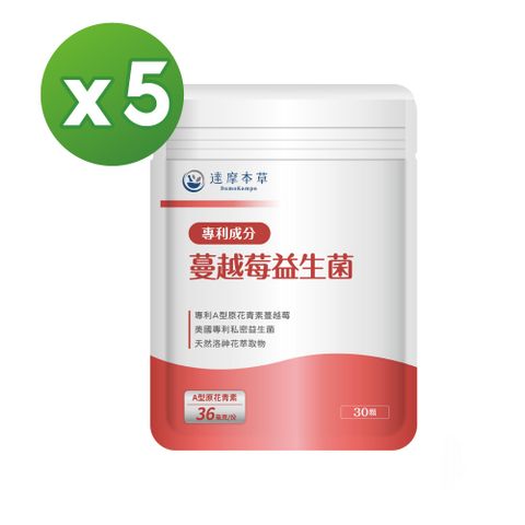 達摩本草 法國專利蔓越莓益生菌x5包(足量36毫克A型原花青素)