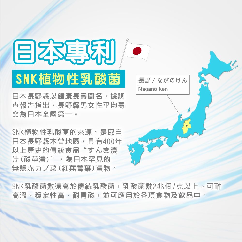 日本專利SNK植物性乳菌日本長野縣以健康長壽聞名,據調查報告指出,長野縣男女性平均壽命為日本全國第一。SNK植物性乳酸菌的來源,是取自日本長野縣木曾地區,具有400年以上歷史的傳統食品“人(酸莖漬)”,為日本罕見的無鹽 (紅蕪菁葉)漬物。長野 / ながのけんNagano kenSNK乳酸菌數遠高於傳統乳酸菌,乳酸菌數2兆個/克以上。可耐高溫、穩定性高、耐胃酸,並可應用於各項食物及飲品中。