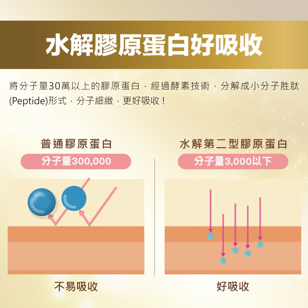 白蘭氏 關鍵活躍雞精(69mlx48入)