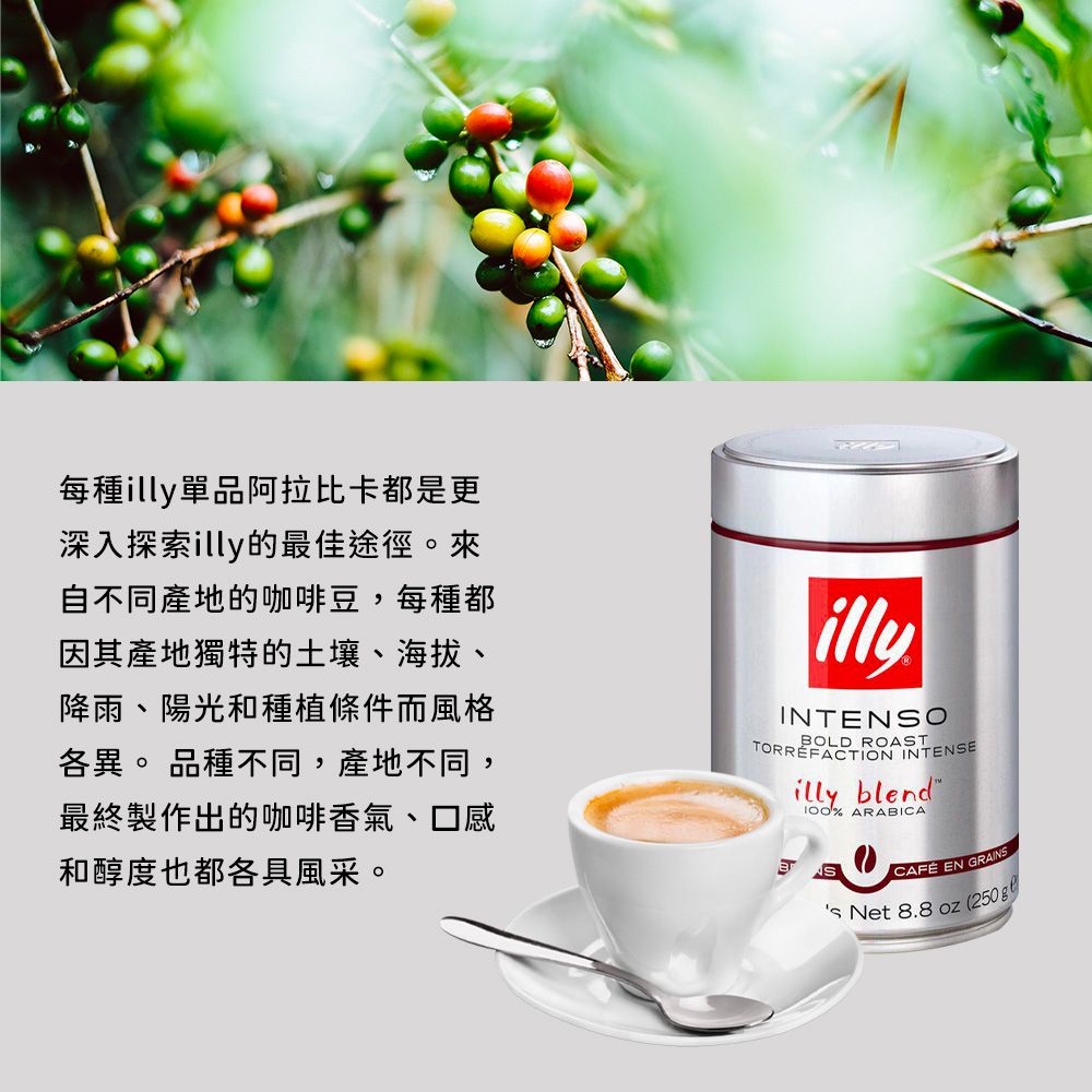 ILLY 經典中焙咖啡豆250gx2罐