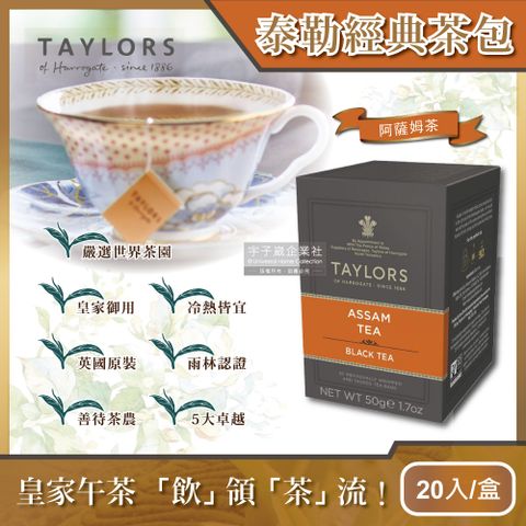 Taylors 泰勒茶 【英國】阿薩姆紅茶 20包/盒(鮮奶茶最佳良伴)