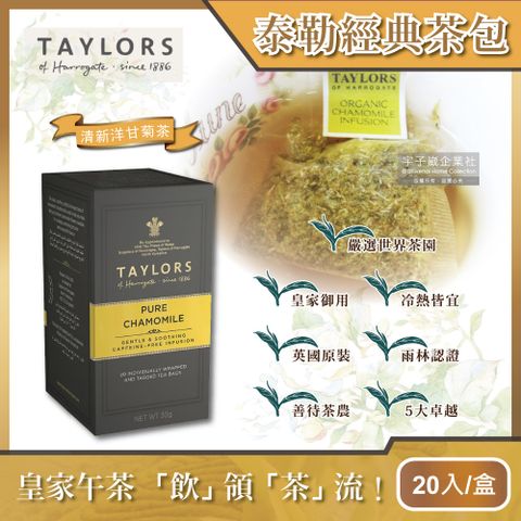 【英國泰勒茶Taylors】清新洋甘菊花茶包 20包/盒 無咖啡因(花草茶/草本茶 有大地的蘋果美譽!)