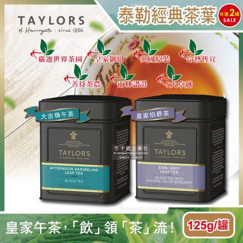 Taylors 泰勒茶 (2罐任選超值組)英國-特級經典紅茶葉(2款可選)125g/鐵罐(英國原裝進口,皇家御用茶品)