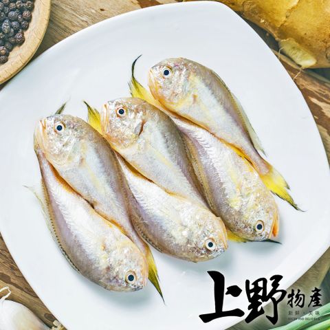 【上野物產】野生白口魚 (135g土10%/隻) x8隻