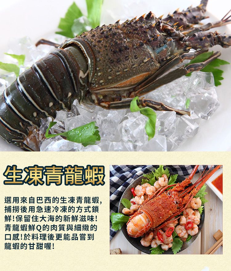 生凍青龍蝦選用來自巴西的生凍青龍蝦,捕撈後用急速冷凍的方式鎖鮮!保留住大海的新鮮滋味!青龍蝦鮮Q的肉質與細緻的口感!於料理後更能品嘗到龍蝦的甘甜喔!