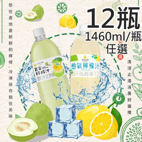 【憋氣檸檬】搖搖冰沙檸檬汁/芭樂檸檬汁任選12瓶(1460ml/瓶〉