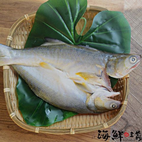 海鮮主義 鮮味滿滿午仔魚一夜干2包(250g±10%/包)