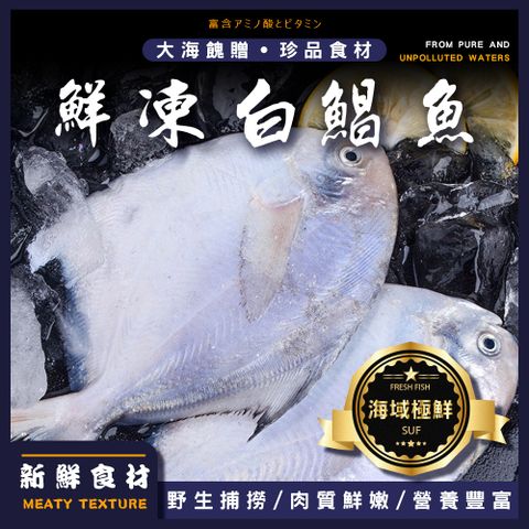 【巧莊園】鮮嫩急凍野生白鯧魚/白鯧魚/肉多刺少-(150~180g/30尾)