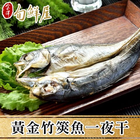 買5送5【金澤旬鮮屋】薄鹽漬黃金竹筴魚一夜干(共10片)