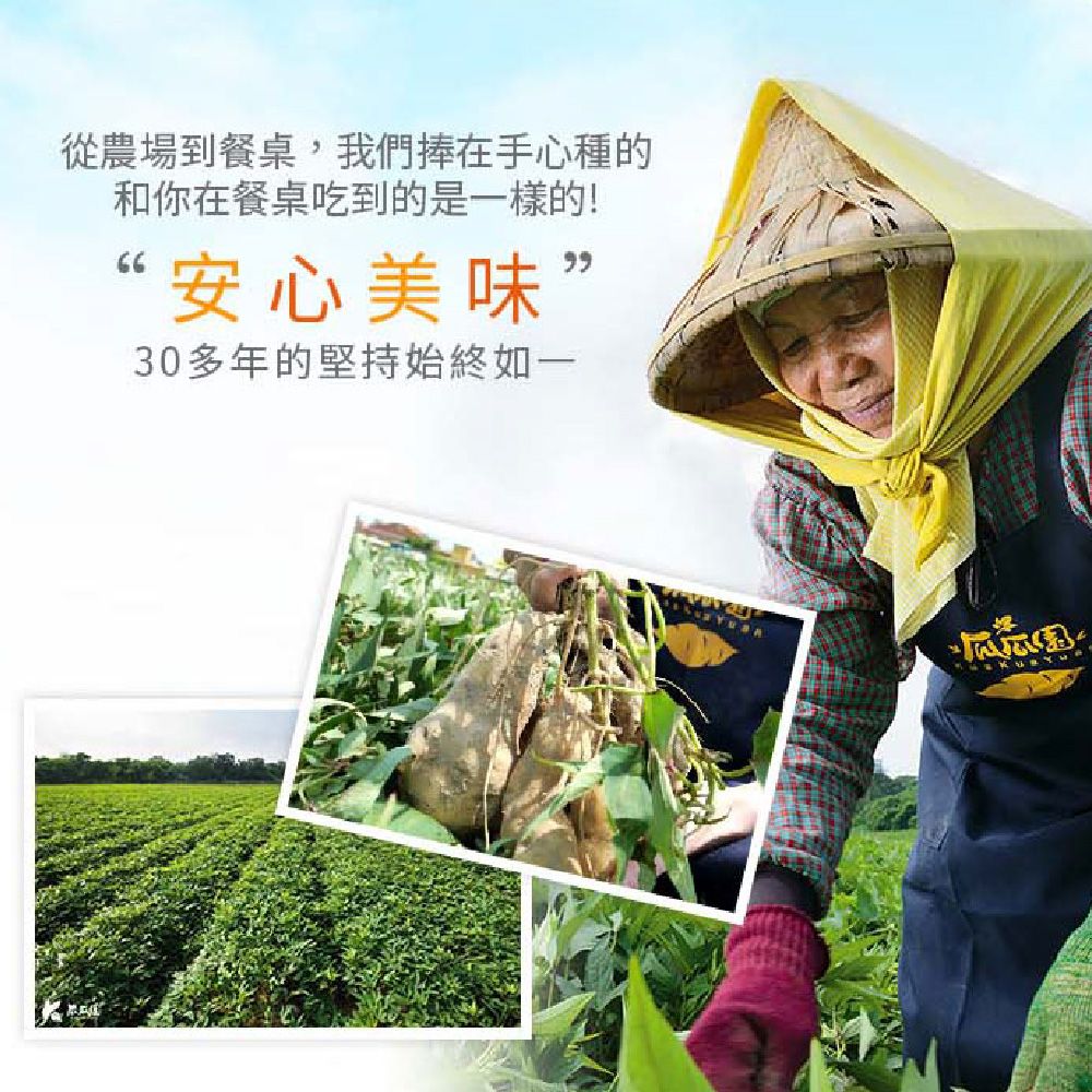 瓜瓜園 蒸黃金地瓜500g/包 8入組
