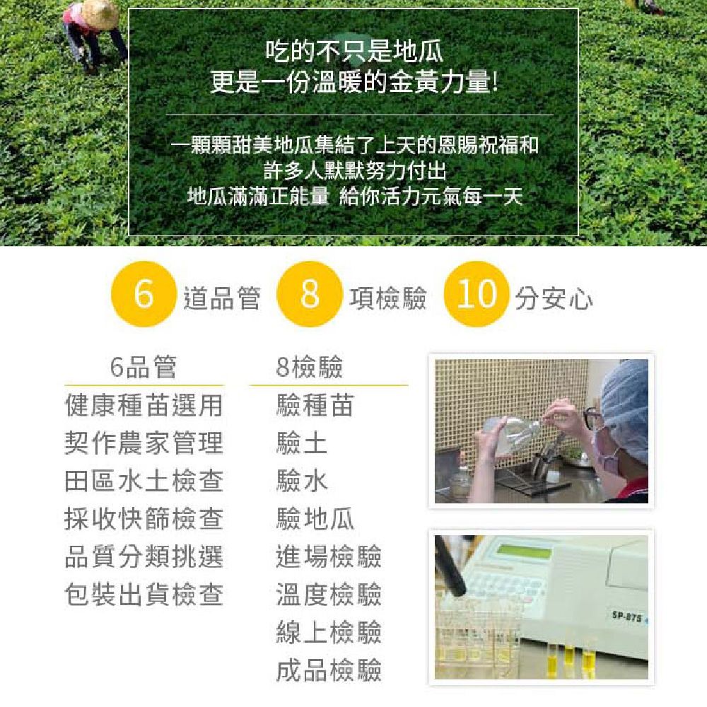 瓜瓜園 蒸黃金地瓜500g/包 8入組