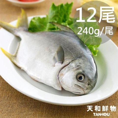 【天和鮮物】小尾黃金鯧12尾〈240g/尾〉