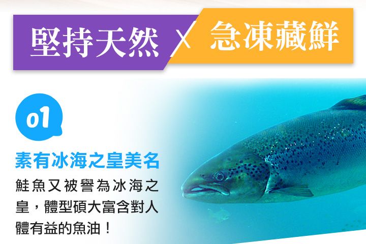 堅持天然  急凍藏鮮素有冰海之皇美名鮭魚又被譽為冰海之皇,體型碩大富含對人體有益的魚油!