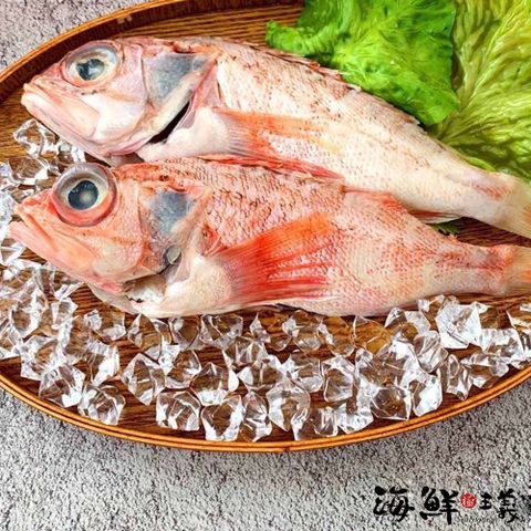 【海鮮主義】鮮美三去紅岩鱸魚5隻組(500g±10%/隻)