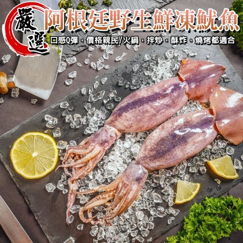 海肉管家 嚴選阿根廷野生鮮凍魷魚(2尾/260-340g/包)