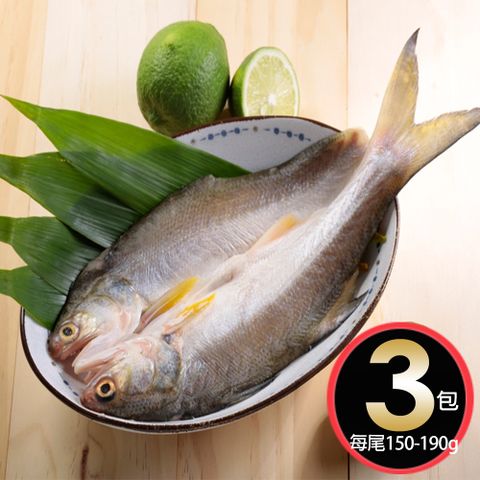 【華得水產】日式午仔魚一夜干3尾(150-190g/尾)