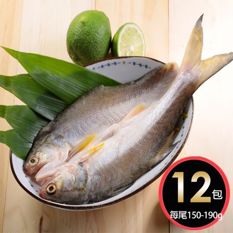 華得水產 日式午仔魚一夜干12尾(150-190g/尾)