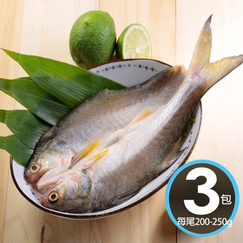 華得水產 日式午仔魚一夜干3尾(200-250g/尾)