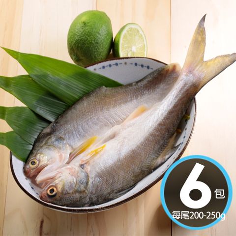 華得水產 日式午仔魚一夜干6尾(200-250g/尾)