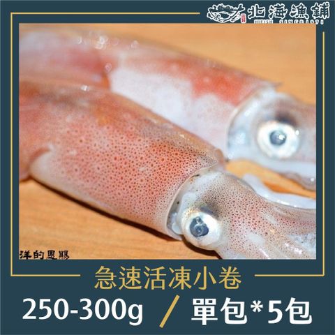 【北海漁鋪】船內急速活凍小卷 250-300g/包*5包