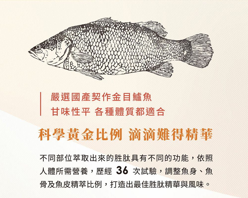 嚴選國產契作金目鱸魚甘味平 各種體質都適合科學黃金比例 滴滴難得精華不同部位萃取出來的胜肽具有不同的功能,依照人體所需營養,歷經36次試驗,調整魚身、魚骨及魚皮精萃比例,打造出最佳胜肽精華與風味。