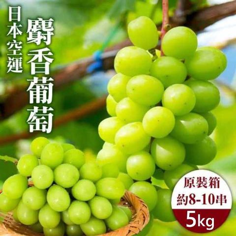 【WANG 蔬果】日本長野縣溫室麝香葡萄(原裝5kg/約8~10串)