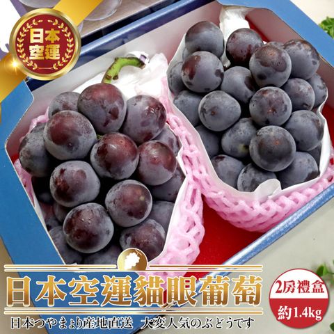 【WANG蔬果】日本空運貓眼葡萄(2串禮盒_700g/串)
