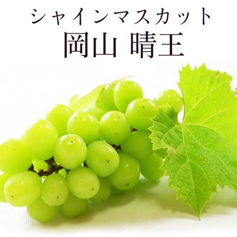【WANG 蔬果】日本晴王麝香葡萄(原箱8~9串入/約5Kg)