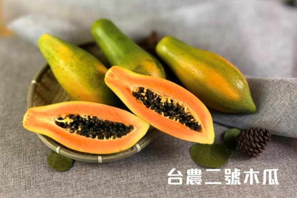 台農二號木瓜