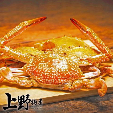 【上野物產】斯里蘭卡佐渡公青花蟹（200g-300g/隻） x4隻