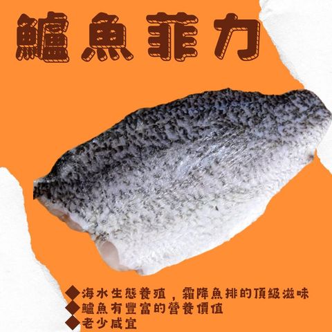 極選無刺金目鱸魚片600-700G/片