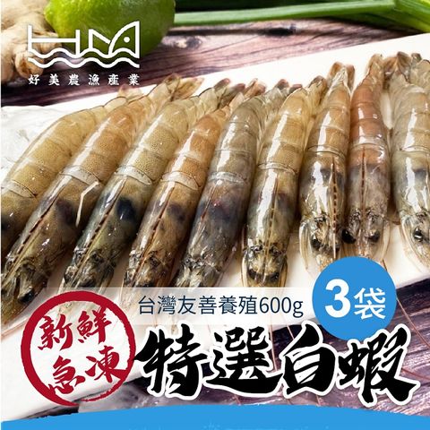 【好美農漁產】台灣新鮮急凍特選白蝦(無用藥天然活水養殖)(冷凍)