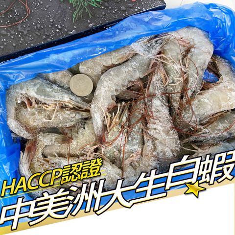 RealShop 真食材本舖 中美洲大生白蝦 約1000g/盒 *1盒