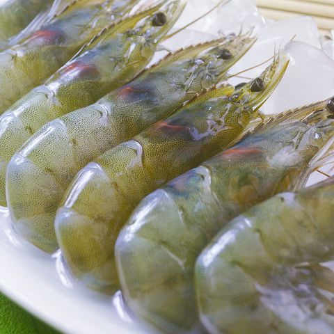 2/3大規格鮮甜白蝦-2盒組(淨重650g/盒/13-16尾)