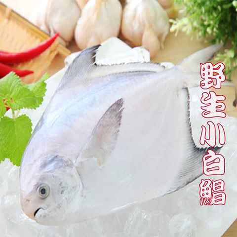 野生捕撈白鯧魚3包6隻組(350/包/2尾)