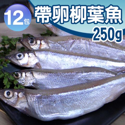 北歐帶卵柳葉魚