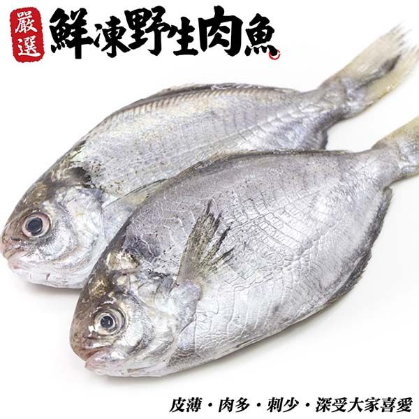 海肉管家 鮮凍野生肉魚x12包(每包2尾/約200g)