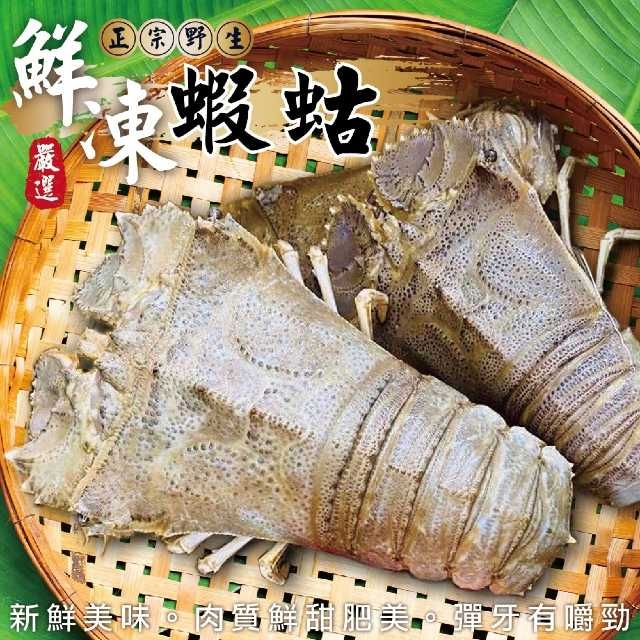 海肉管家 鮮凍蝦蛄(3隻_100-150g/隻)