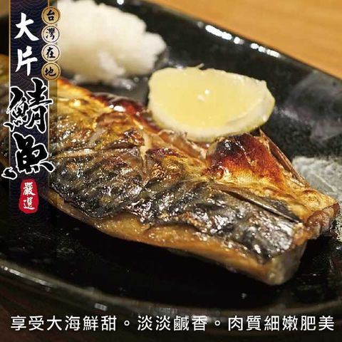 海肉管家 嚴選宜蘭XL薄鹽鯖魚(8片_150g/片)