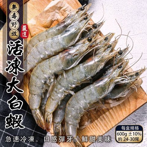 【漁村鮮海】無毒活凍超大白蝦 x5盒(每盒24~30尾/600g)