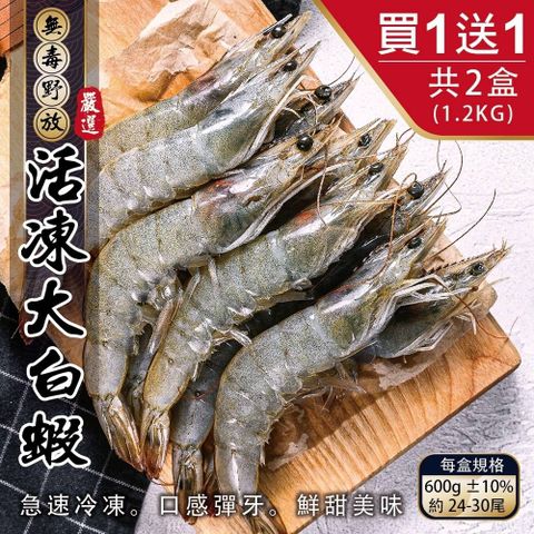 【買1送1-漁村鮮海】無毒活凍超大白蝦 共2盒(每盒24~30尾/600g)