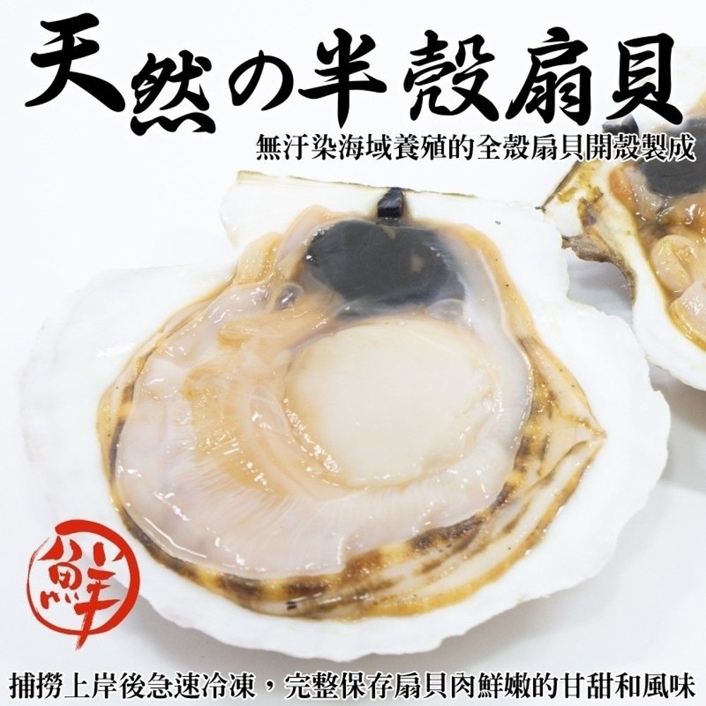 海肉管家 【滿777免運-】生鮮半殼扇貝(1包_5~9顆/500g/包)