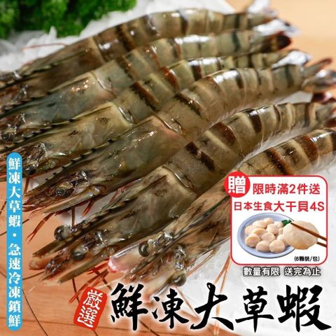 海肉管家 買2件送生食干貝嚴選鮮凍草蝦 x5盒(共50尾_10尾/盒)