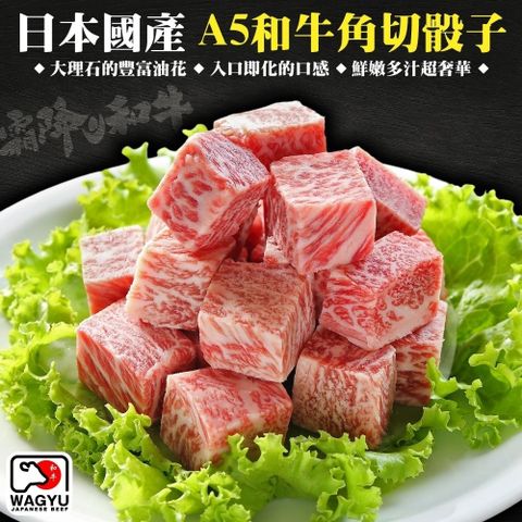 【海肉管家】日本國產A5黑毛和牛(4包_100g/包)