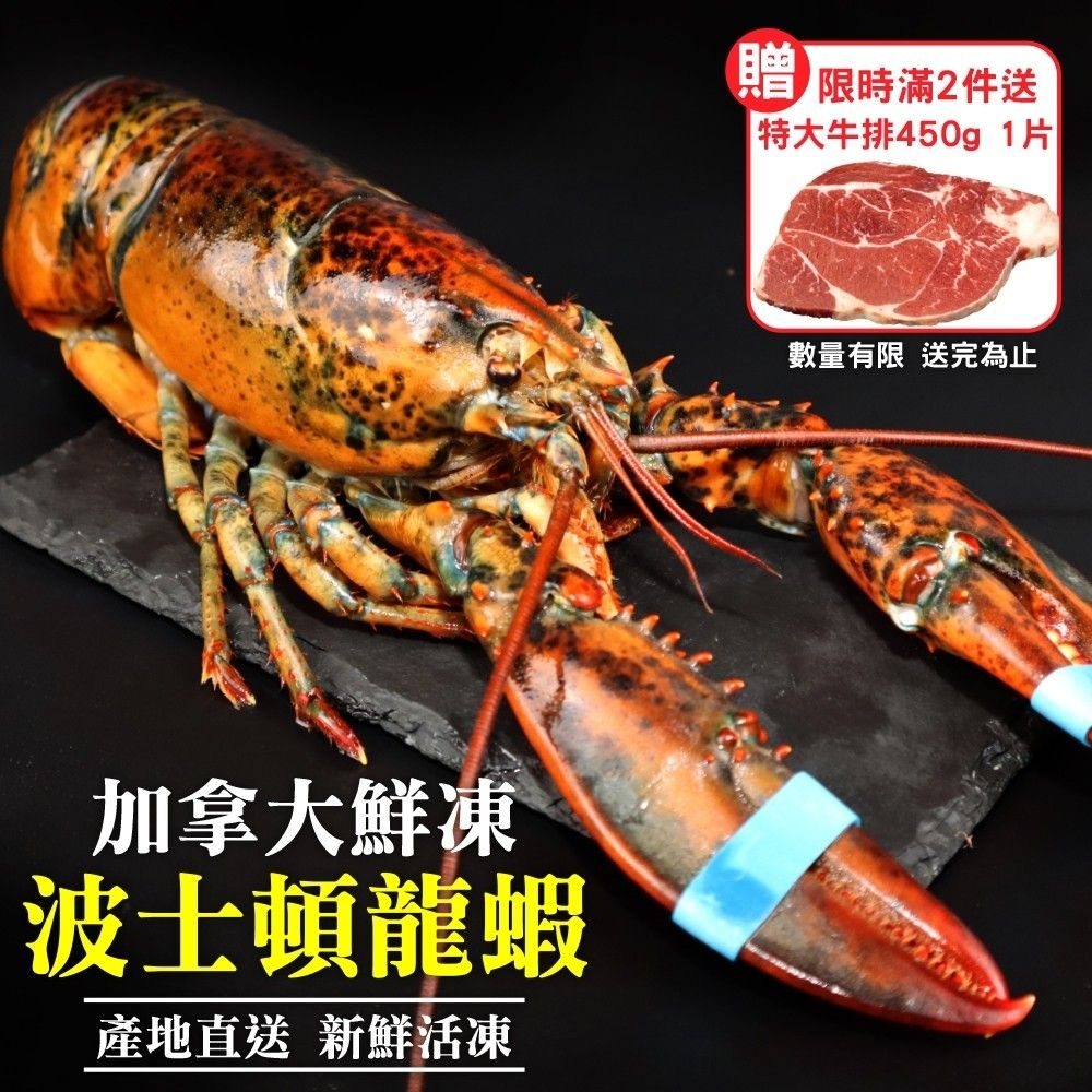 海肉管家 第二件送好禮活凍波士頓龍蝦(2尾_400-500g/尾)