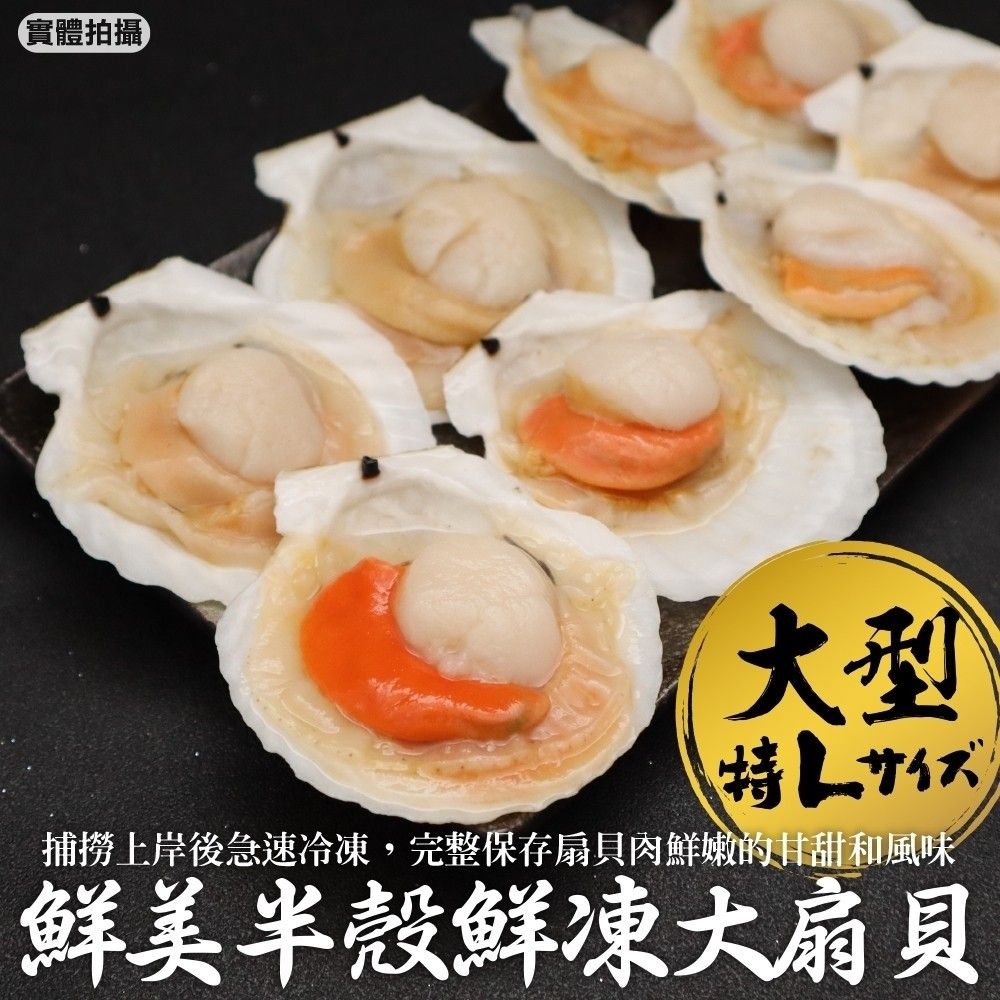 三頓飯 鮮美半殼鮮凍大扇貝(3包_5-9入/500g/包)