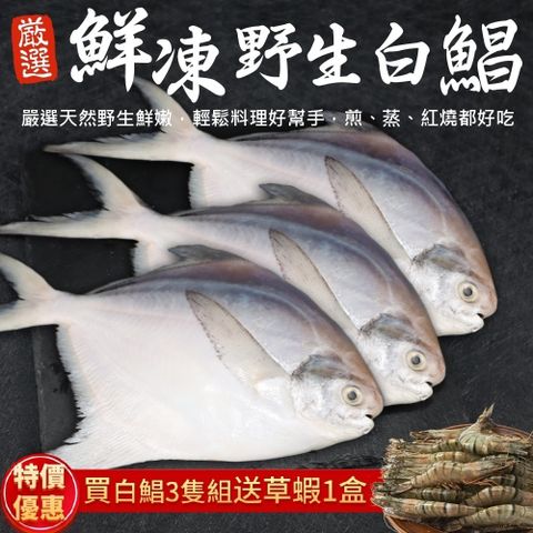 送草蝦10隻【三頓飯】鮮嫩野生白鯧魚(3尾組_220-280g/尾)