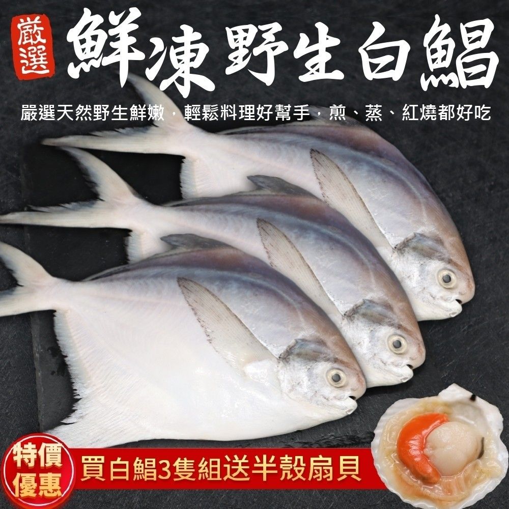 三頓飯 送帶殼扇貝鮮嫩野生白鯧魚(3尾組_220-280g/尾)