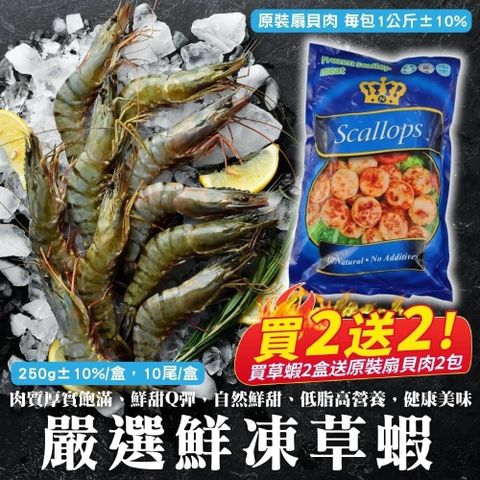 【買2送2】嚴選鮮凍草蝦(共2盒_10隻/250g/盒)送扇貝肉x2包