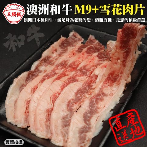 三頓飯 澳洲日本種M9+熟成雪花肉片(4盒_100g/盒)